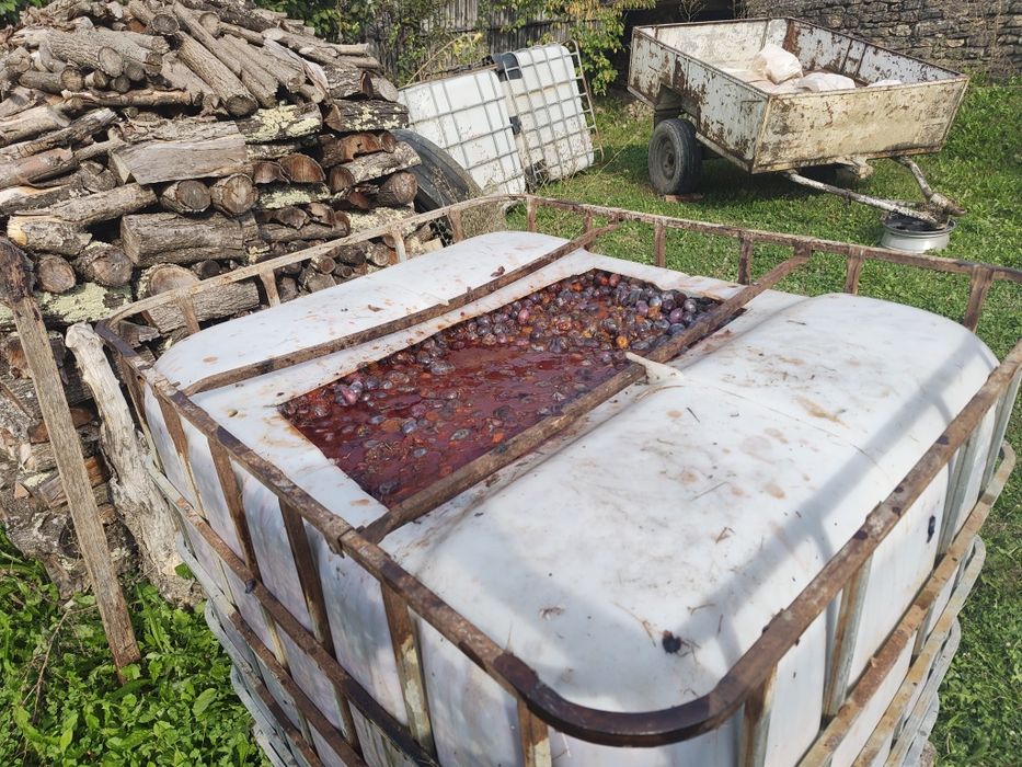Vand prune pentru tuica