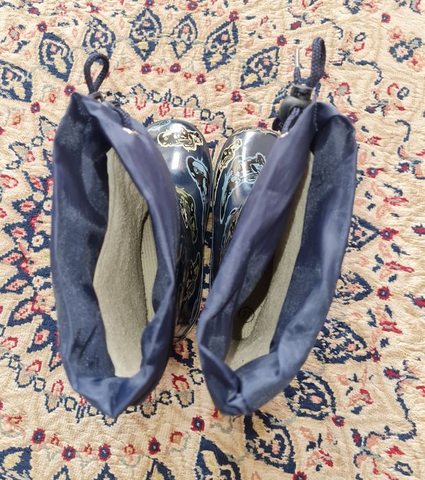 Резиновые сапоги