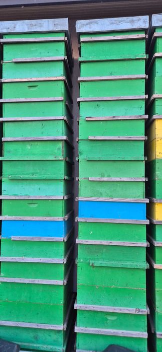 Caturi de 1/2 cu 12 rame