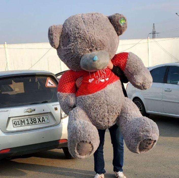Teddy Тедди  Yumshoq oyinchoqlar (30sm 3m)