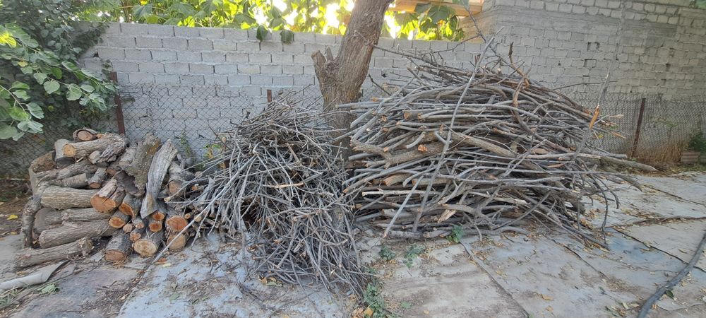 Дрова фруктовых деревьев , продам ,