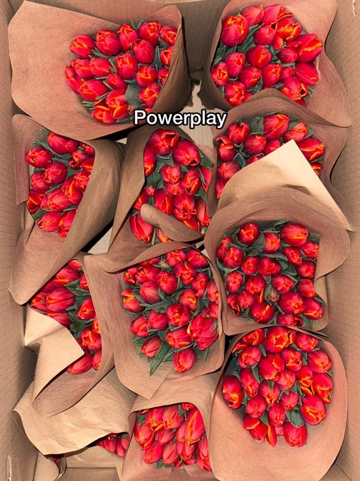 Доставка цветов по г.Семей