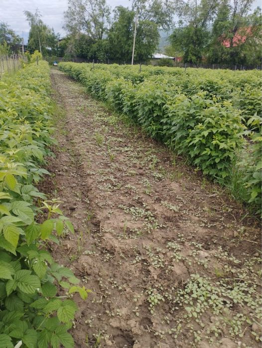 Участок к/х 20сотак