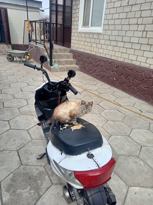 М8 про обмен/продажа