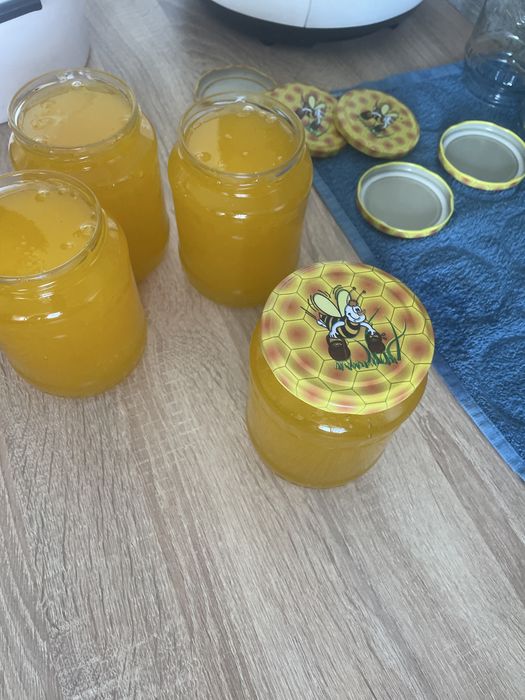 Vand miere de albina Floarea Soarelui