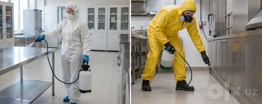 Клопы и тараканы мешают вам спокойно жить? Избавьтесь от них уже сегод