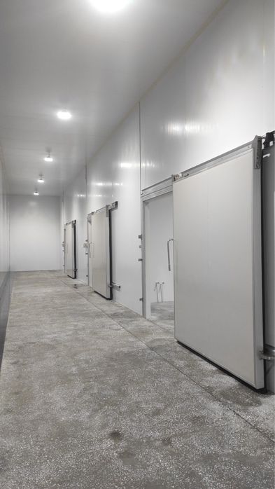 Холодильные и морозильные камеры, Акция сэндвич панели, под ключ