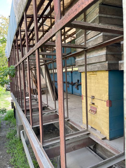 Vând stupi/familii de albine/lazi și colectoare