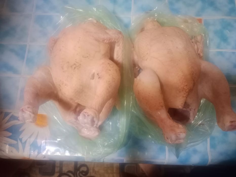 Продам броллера.