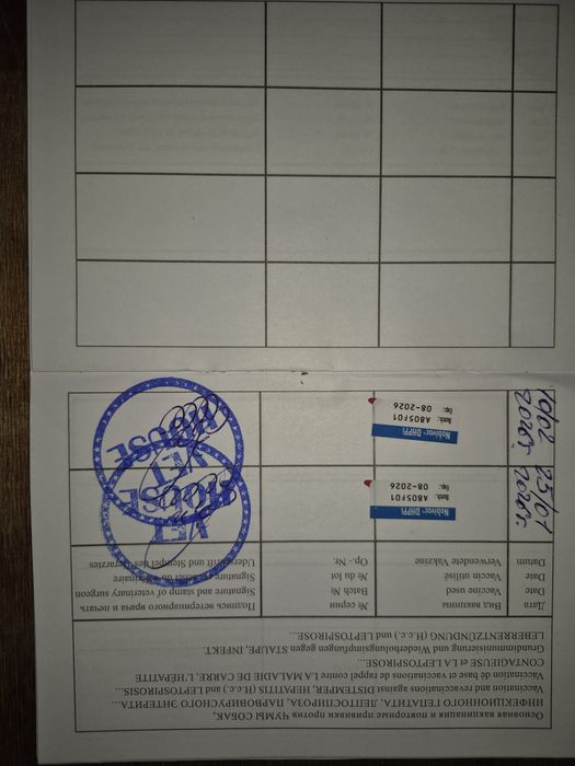 Чистокровный Ротвейлер...
