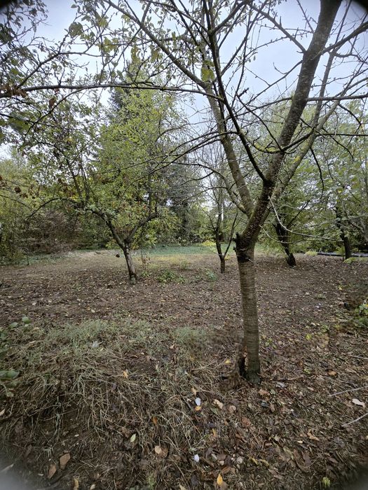 Продава се Къща в с. Поликраище, Област Велико Търново - 160 кв.м за 494 €/кв.м - Снимка #1