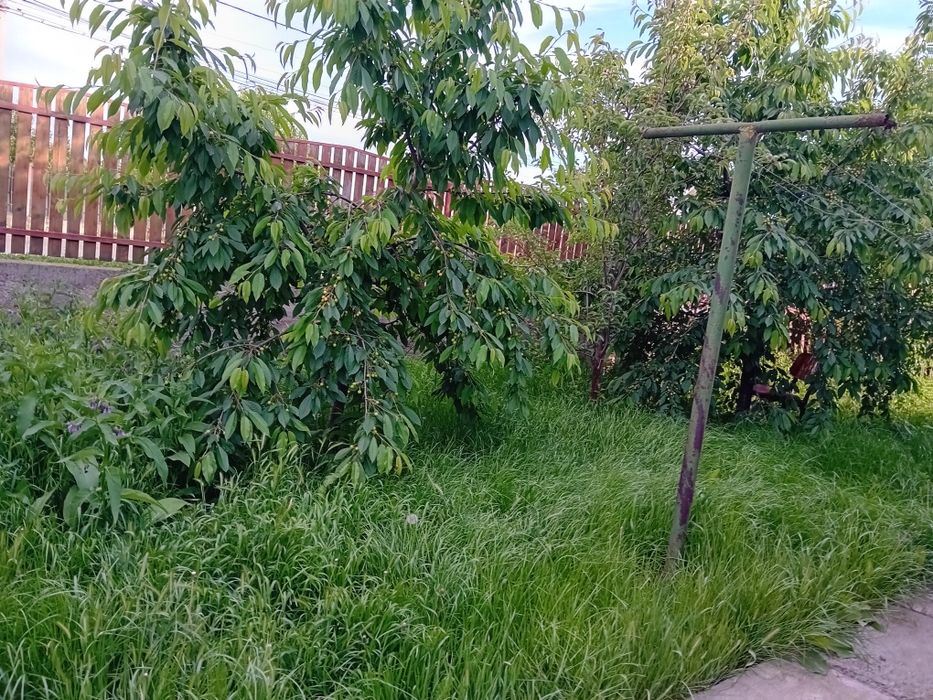 Casă de vânzare Botoșani Str.Săvenilor  Nr.113