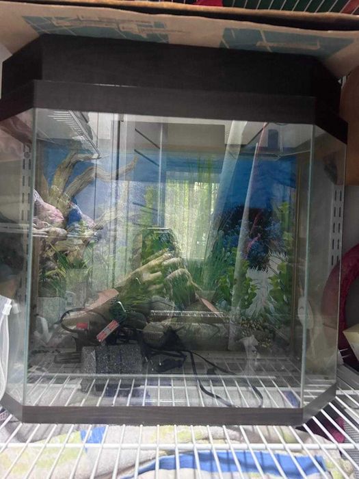 Продам  Аквариум