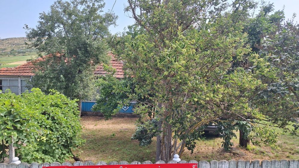 Hoceni - Teren Intravilan 4200 mp si casa bătraneasca