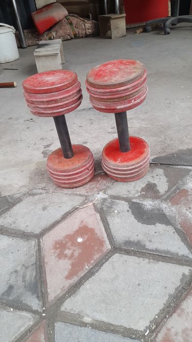 Гантели разборные