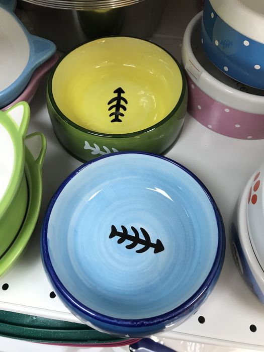 Керамическая миска для кошек! Веселые мордашки!