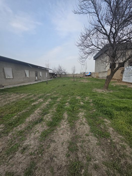 Янги Арғин  Мурод Шералиев маҳалласида 11 сот. ер участкаси сотилади