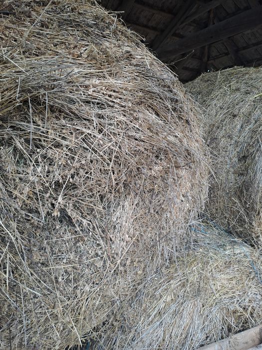 Baloti lucerna si amestec