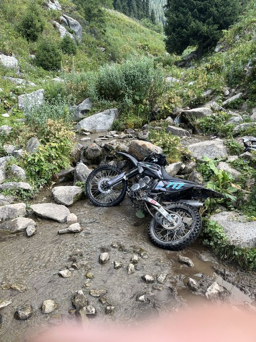 Bekmoto bm 250 PR