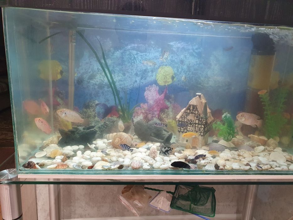 Продаю два аквариума с рыбками