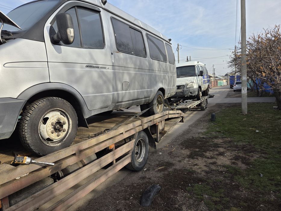 Разбор газель...