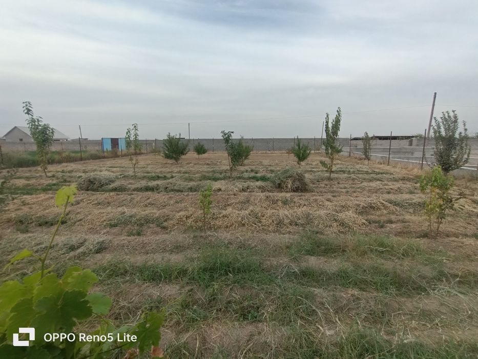 Продаётся участок дск дача тарафда