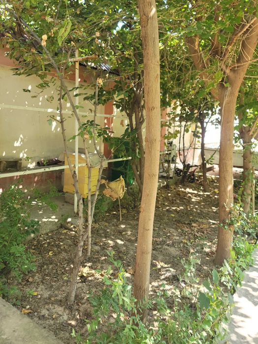 Продается коттедж "Намунали уй" Зангиота Уртааул