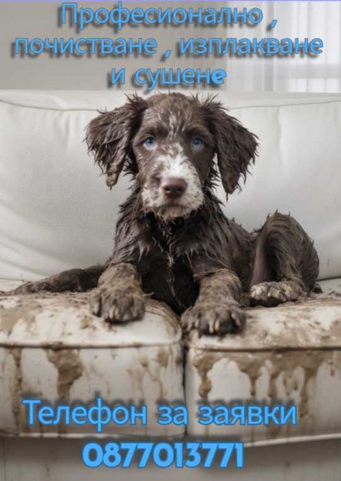 Пране и сушене на мека мебел-матрац МОБИЛНО ПОЧИСТВАНЕ НА АВТОМОБИЛИ