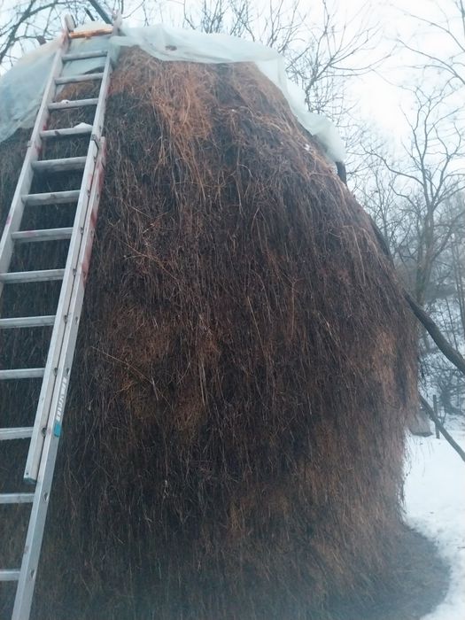 Vân de vânzare din anul 2025