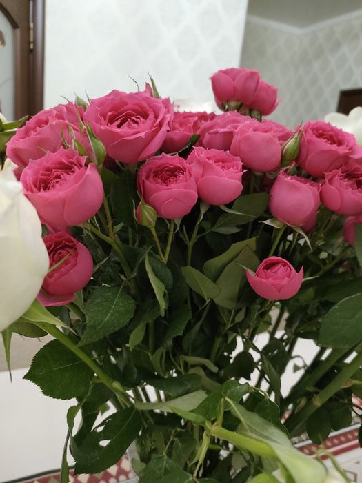 Няня у себя дома. Өз үйімде бала караймын. Б. Момышұлы 18
