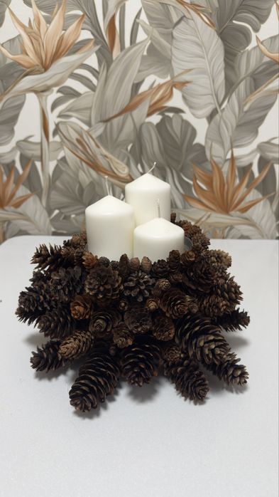 Шишки разных видов размеров