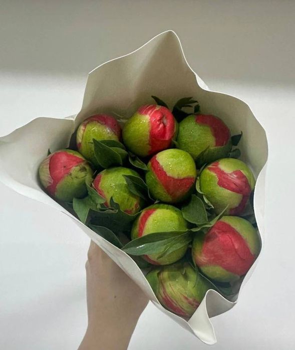 Сезонные пионы в ассортименте!