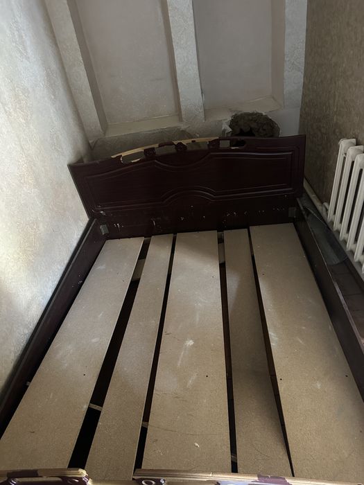 Отдам бесплатно текингааааа факат чикиндиларни хам олиб кетиш керак