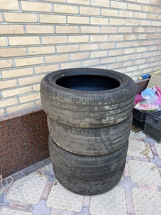 Бйд чемпионга балон янги