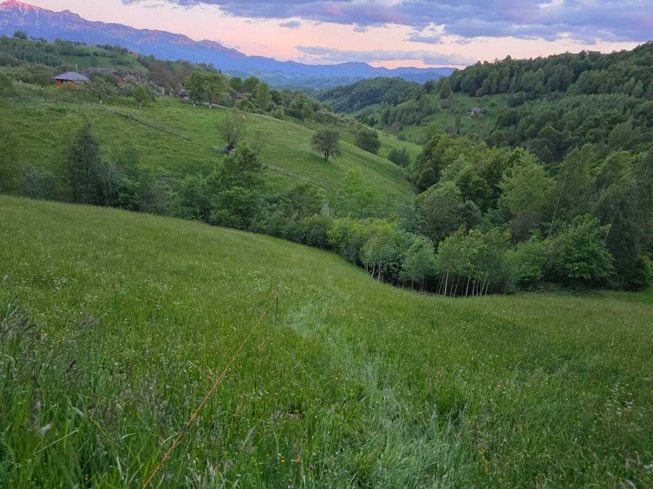 vanzare teren intravilan Sat Magura, Comuna Moieciu, Jud Brasov