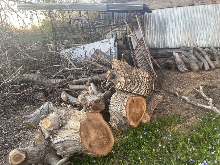 Отдам даром дрова