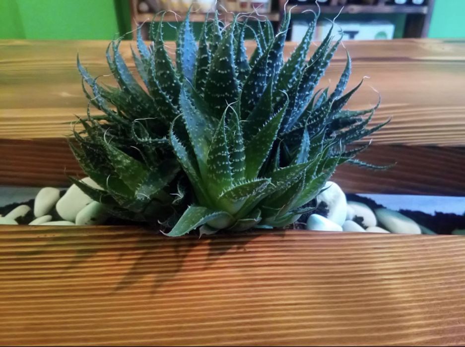 Дизайнерска масивна дървена маса