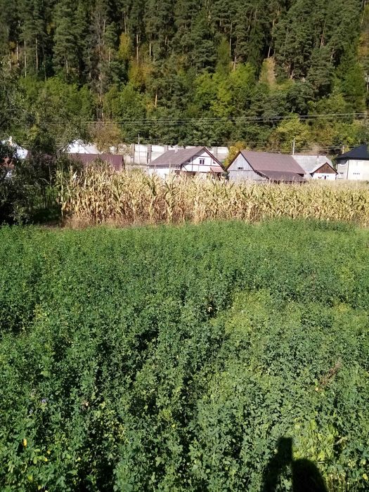 Teren intravilan de vânzare – Măgura Ilvei, Bistrița-Năsăud