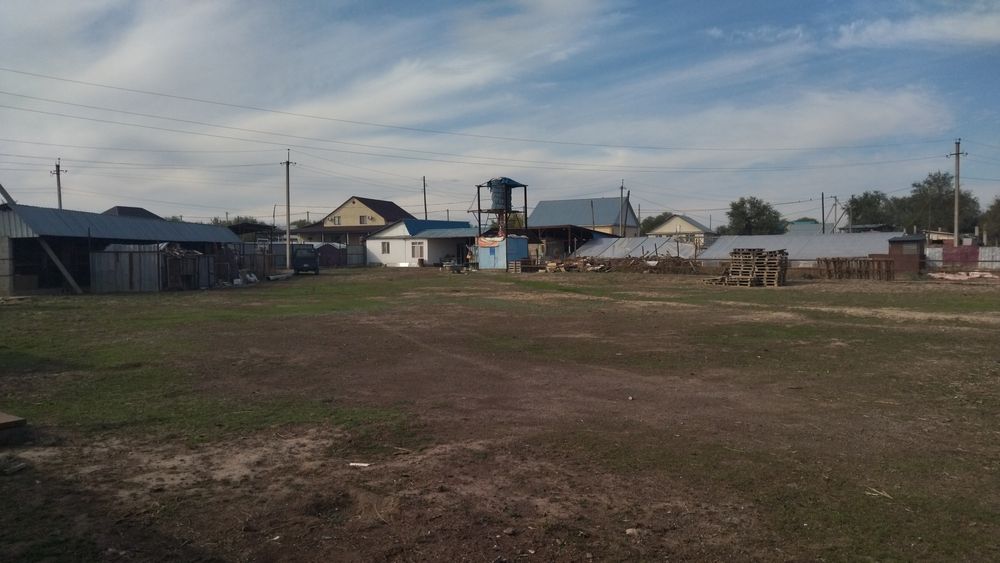 Дом, 50 соток земли.