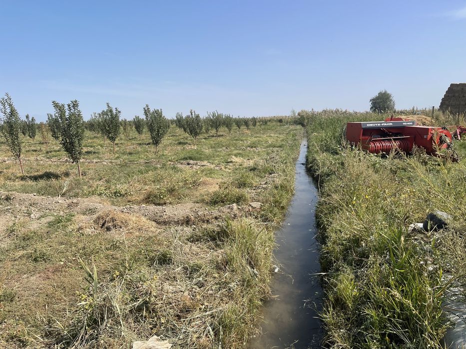 Продам землю 62 га