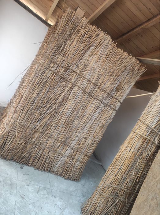 Камыс камыш мата