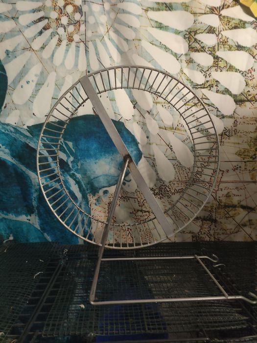 Беговое колёсико для грызунов