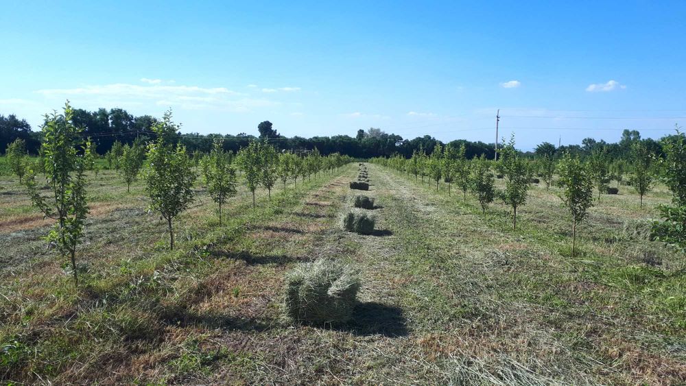 Земельный участок