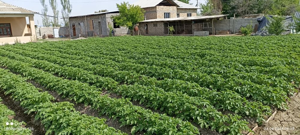 Продам дом 10 соток. Полностью благоустроен. 4 комнаты.