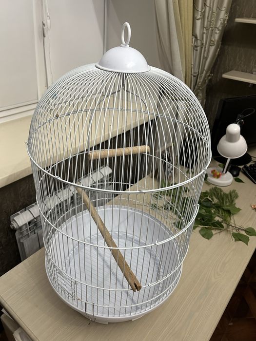 продам клетку для птиц