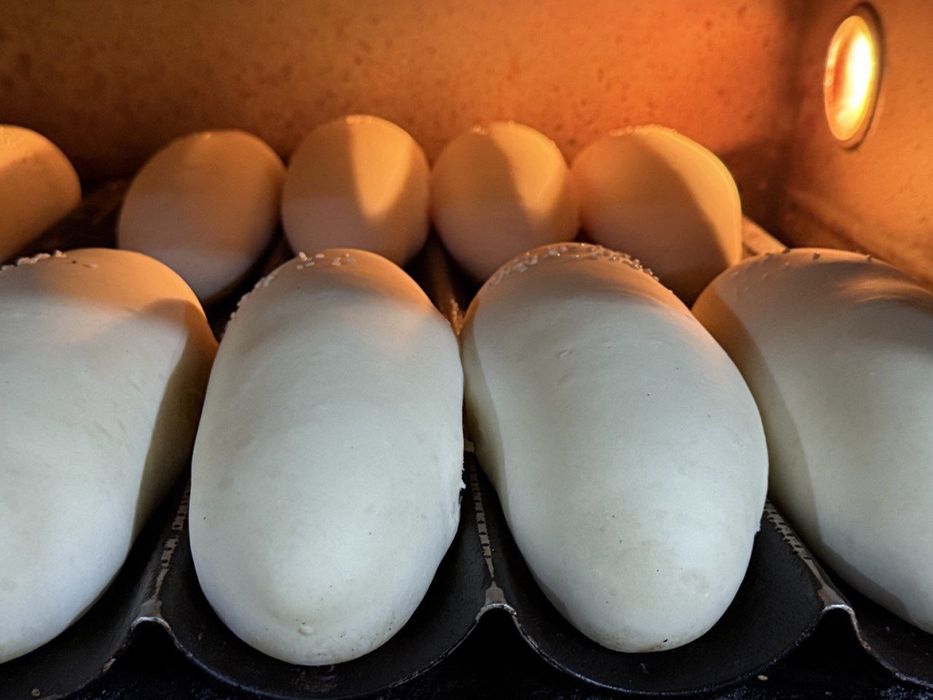 Hoddog va Gamburgur nonlari sifatli mahsulotlar