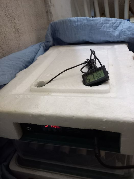 Инкубатор сотилади 36 товук тухум завот автомат 220-12 v