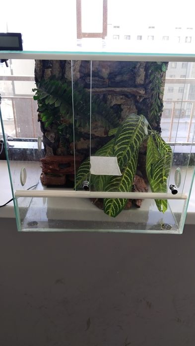 Террариум для животных