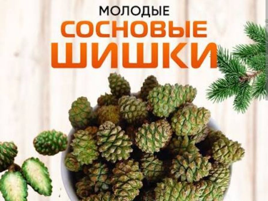 Шишки сосновые зелёные