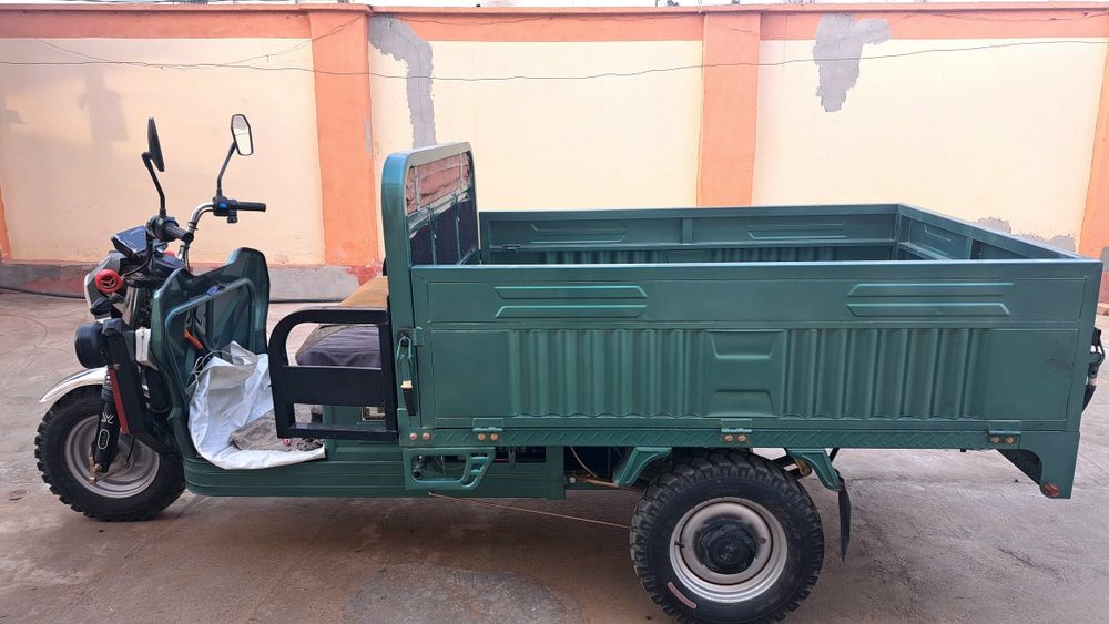 Elektro moto (muravey)